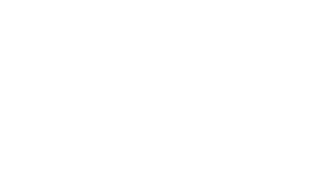 ISEA International